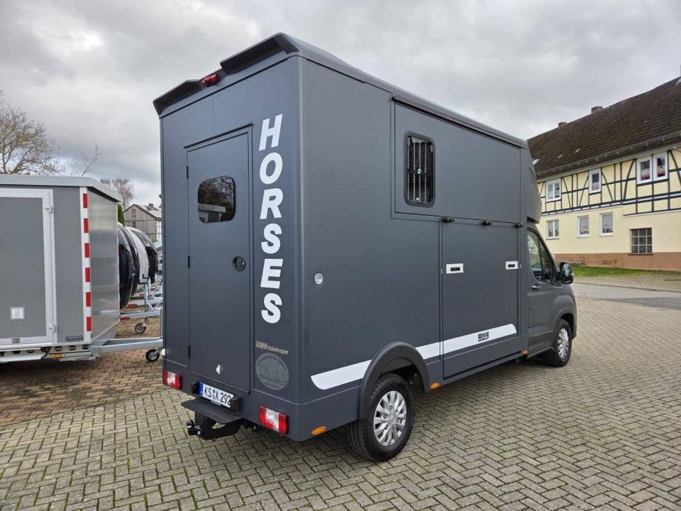 Paardenvrachtwagen MSG Stablehopper Pferdetransporter Pferdeanhänger Böckmann: afbeelding 6