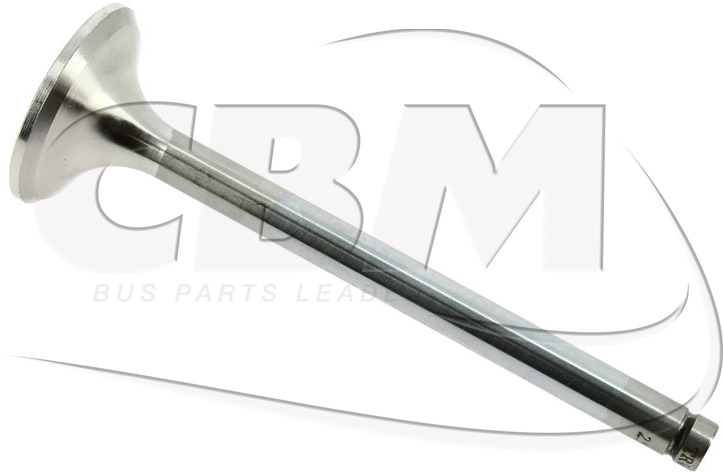 CBM EXHAUST VALVE - MANN FILTRE (C311256) - Klep voor Bus: afbeelding 1 CBM EXHAUST VALVE - MANN FILTRE (C311256) - Klep voor Bus: afbeelding 1