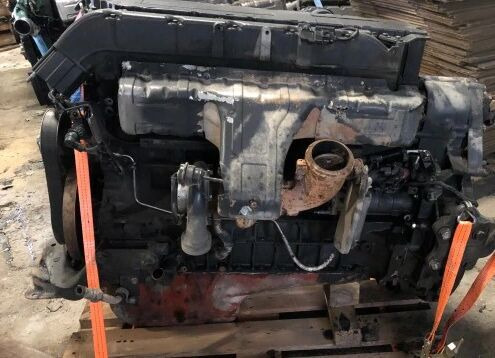 Renault DXI7 Renault MIDLUM truck - Motor voor Vrachtwagen: afbeelding 1 Renault DXI7 Renault MIDLUM truck - Motor voor Vrachtwagen: afbeelding 1