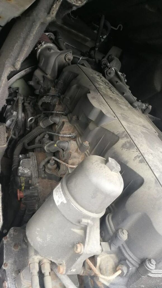 DAF MX340S1 - Motor voor Vrachtwagen: afbeelding 3 DAF MX340S1 - Motor voor Vrachtwagen: afbeelding 3