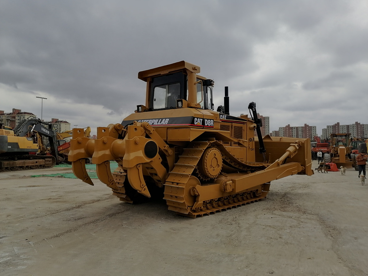 CATERPILLAR D8R - Bulldozer: afbeelding 2 CATERPILLAR D8R - Bulldozer: afbeelding 2