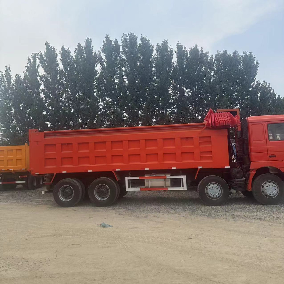SHACMAN F3000 Dump Truck With Tarpaulins Click Here for Discount - Kipper vrachtwagen: afbeelding 5 SHACMAN F3000 Dump Truck With Tarpaulins Click Here for Discount - Kipper vrachtwagen: afbeelding 5
