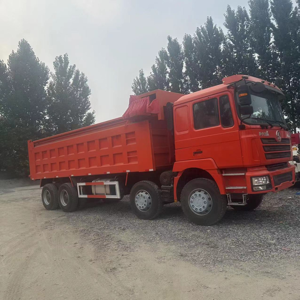 SHACMAN F3000 Dump Truck With Tarpaulins Click Here for Discount - Kipper vrachtwagen: afbeelding 2 SHACMAN F3000 Dump Truck With Tarpaulins Click Here for Discount - Kipper vrachtwagen: afbeelding 2