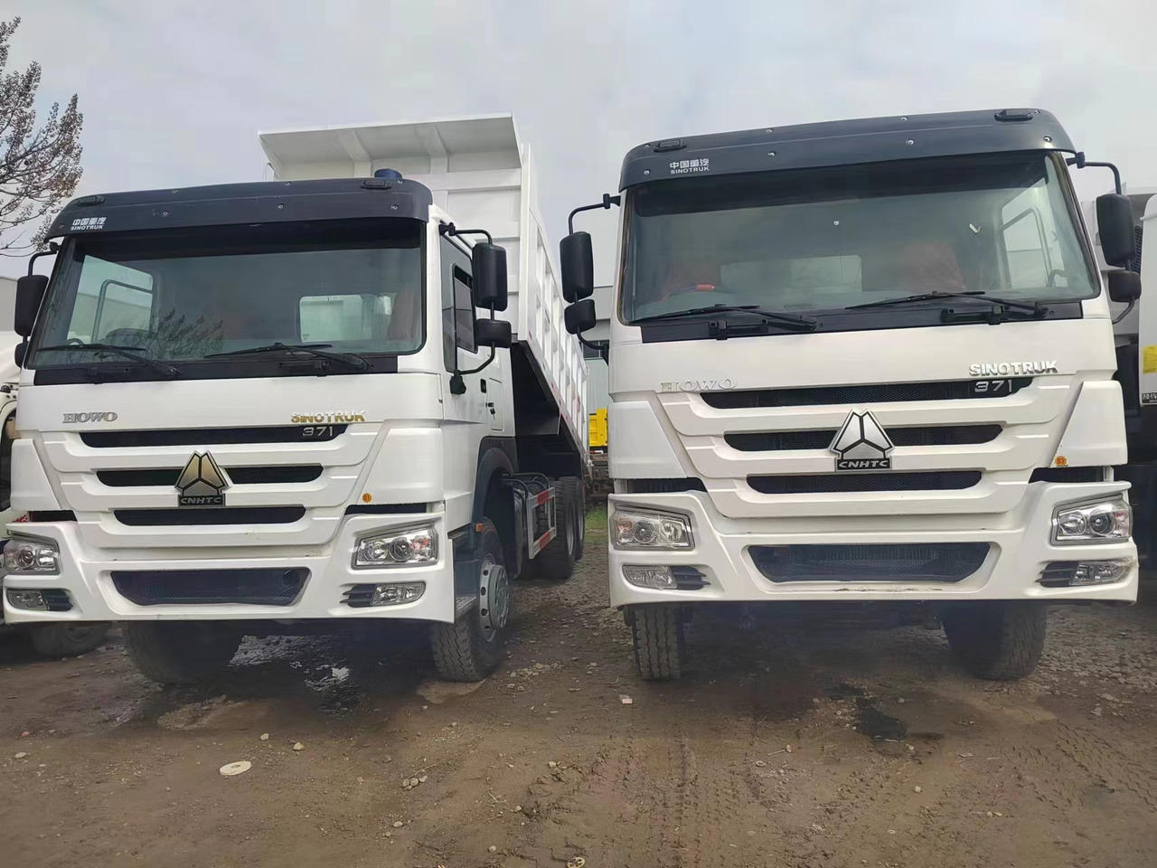 Sino HOWO 6x4 Dump Truck Click for Discount - Kipper vrachtwagen: afbeelding 2 Sino HOWO 6x4 Dump Truck Click for Discount - Kipper vrachtwagen: afbeelding 2