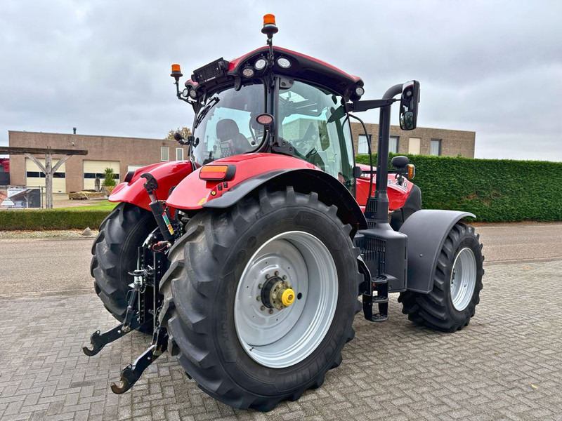 Case IH Puma 240 CVX GPS RTK - Tractor: afbeelding 3 Case IH Puma 240 CVX GPS RTK - Tractor: afbeelding 3
