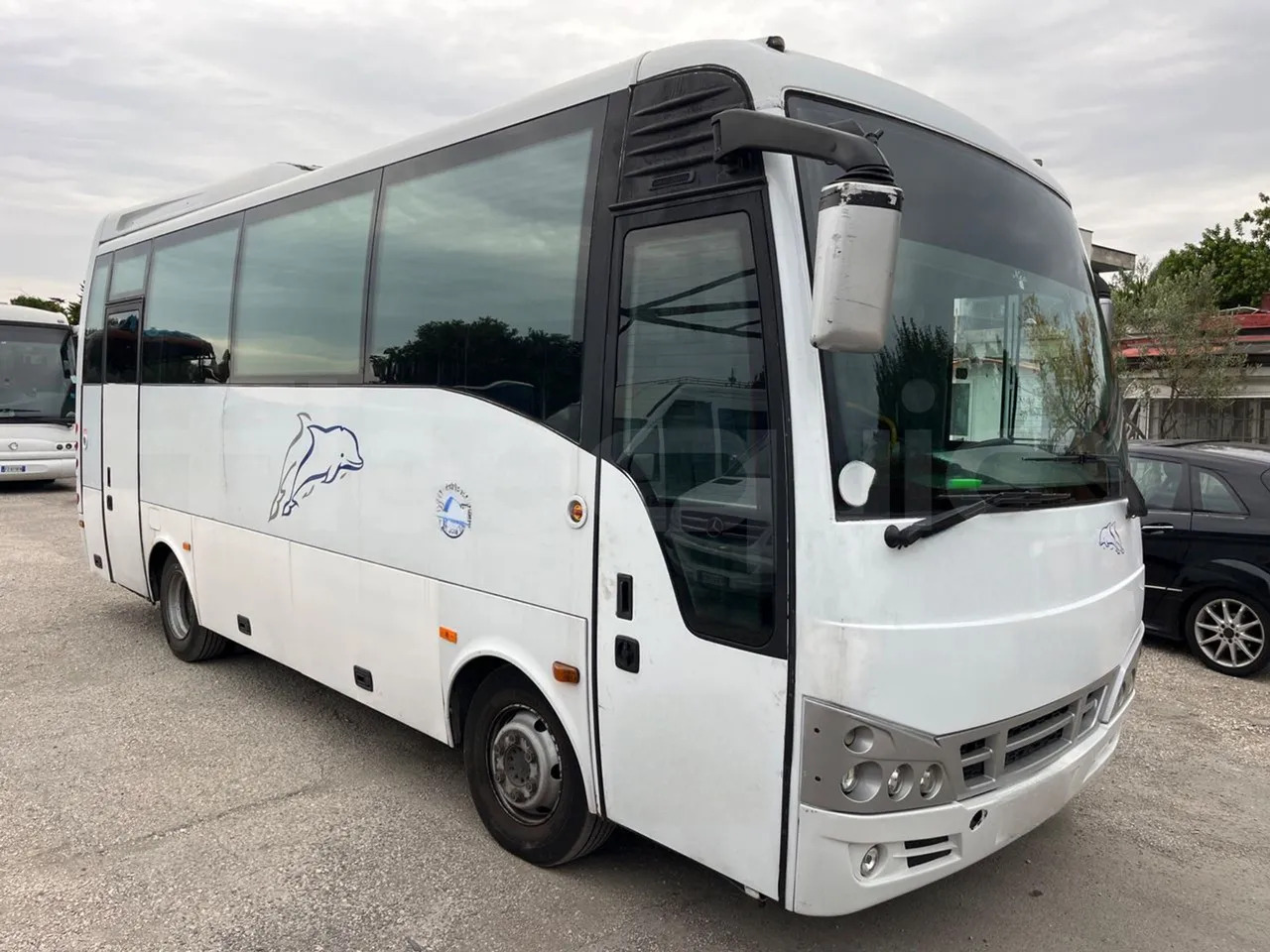 Isuzu Turquoise - Touringcar: afbeelding 1 Isuzu Turquoise - Touringcar: afbeelding 1