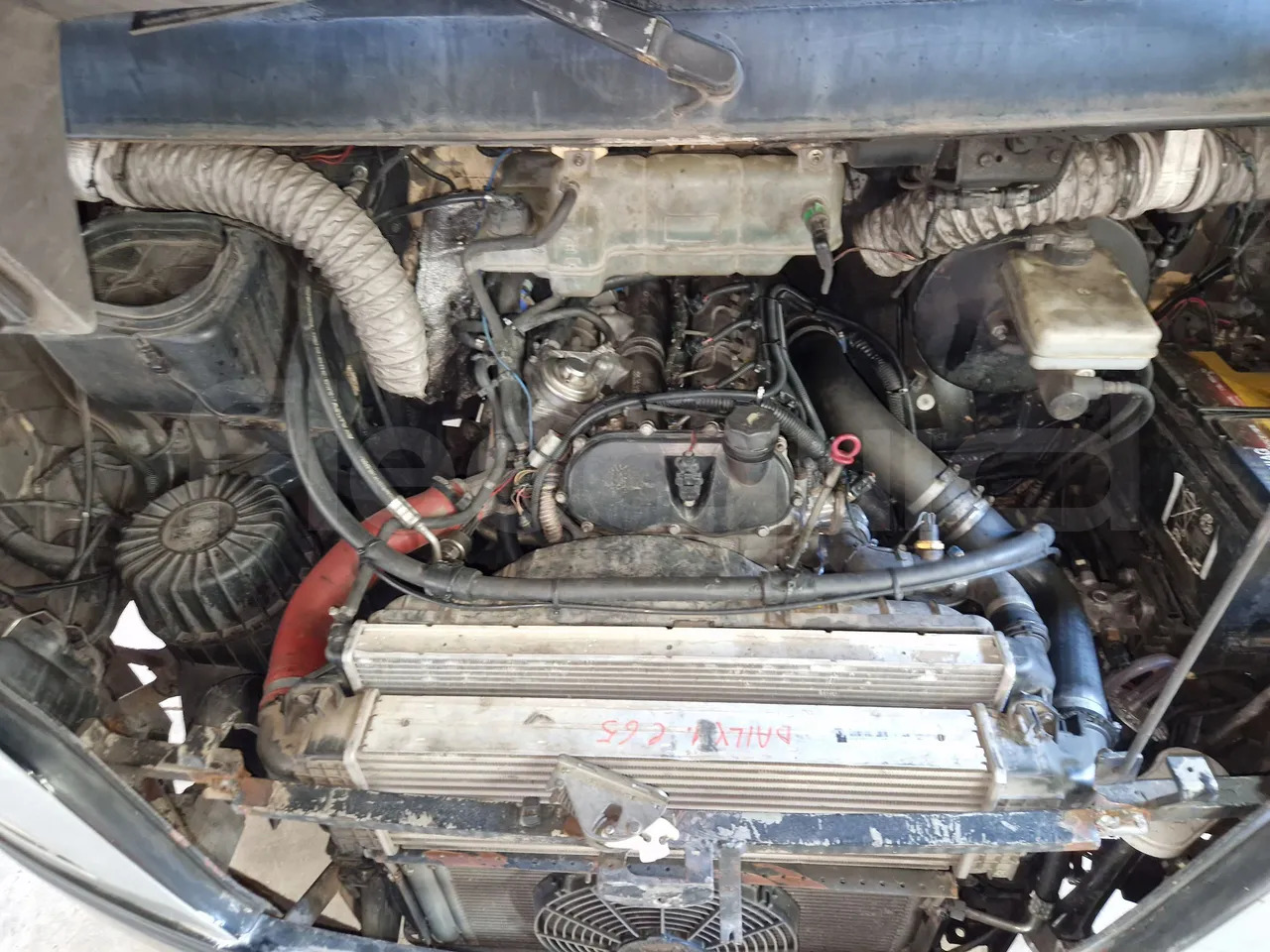 Leasing Iveco 65C15/70 Iveco 65C15/70: afbeelding 18 Leasing Iveco 65C15/70 Iveco 65C15/70: afbeelding 18