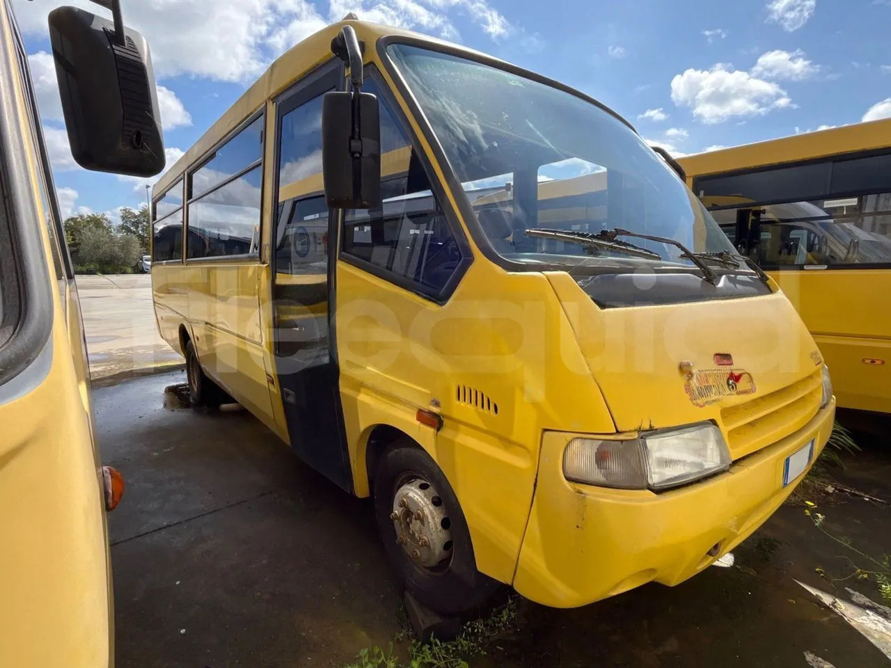 Iveco Cacciamali - Schoolbus: afbeelding 2 Iveco Cacciamali - Schoolbus: afbeelding 2
