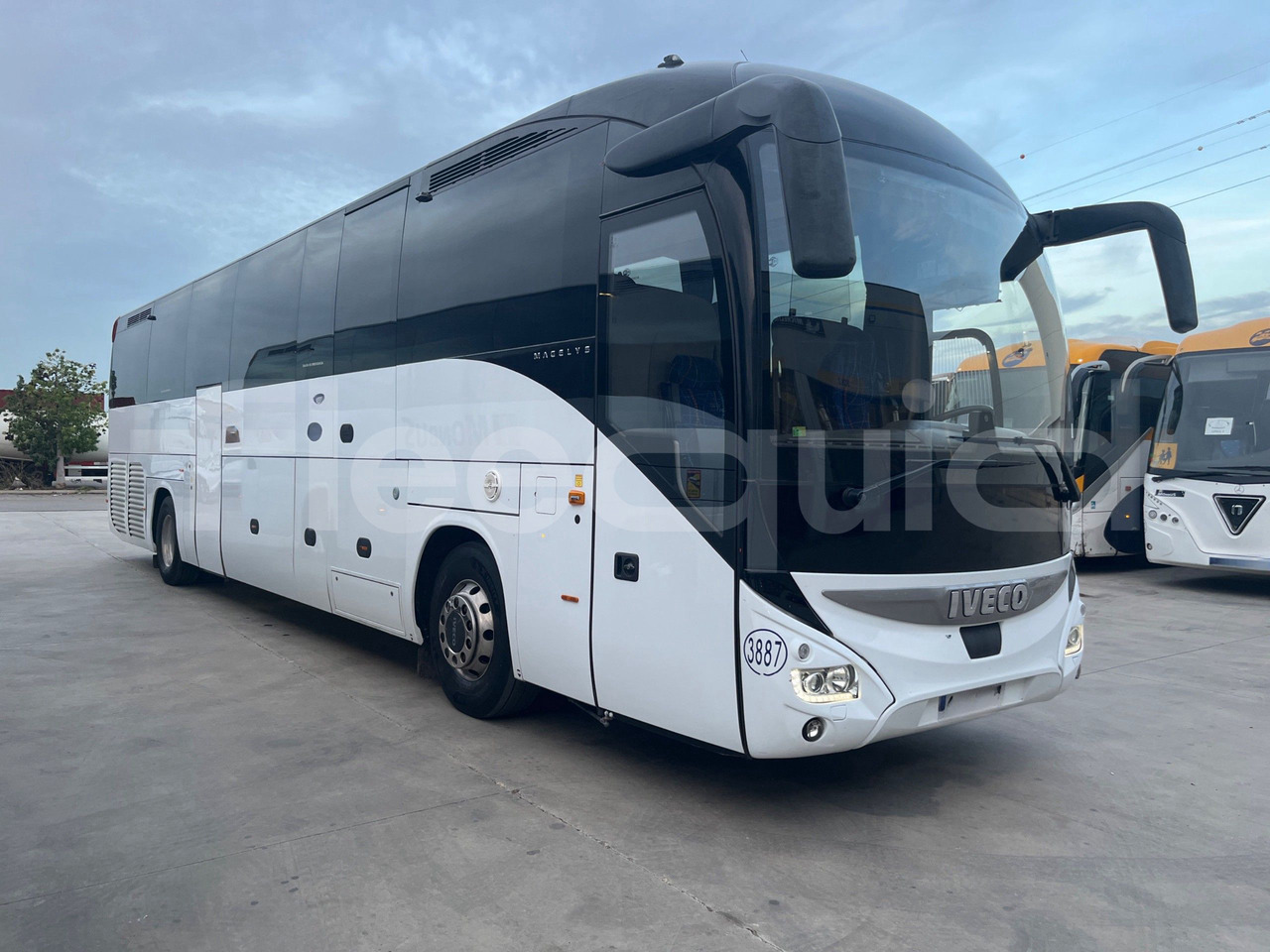 Iveco Magelys - Touringcar: afbeelding 1 Iveco Magelys - Touringcar: afbeelding 1