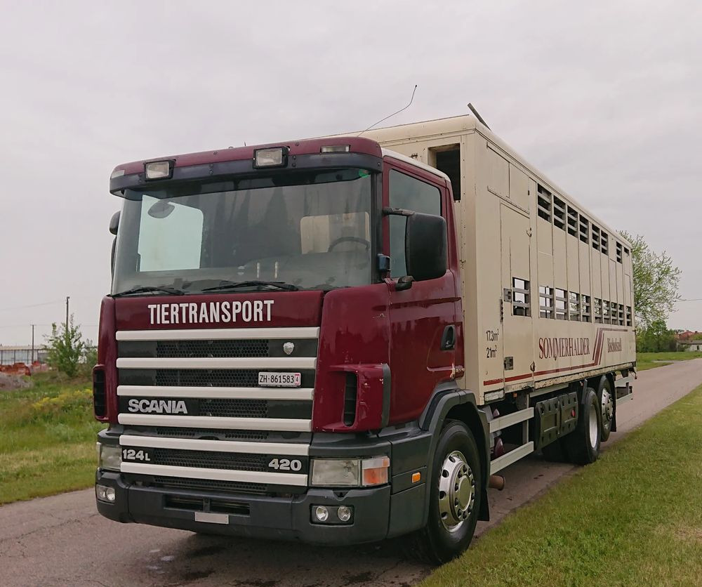 Scania 124 420 Do żywca - Veewagen vrachtwagen: afbeelding 4 Scania 124 420 Do żywca - Veewagen vrachtwagen: afbeelding 4