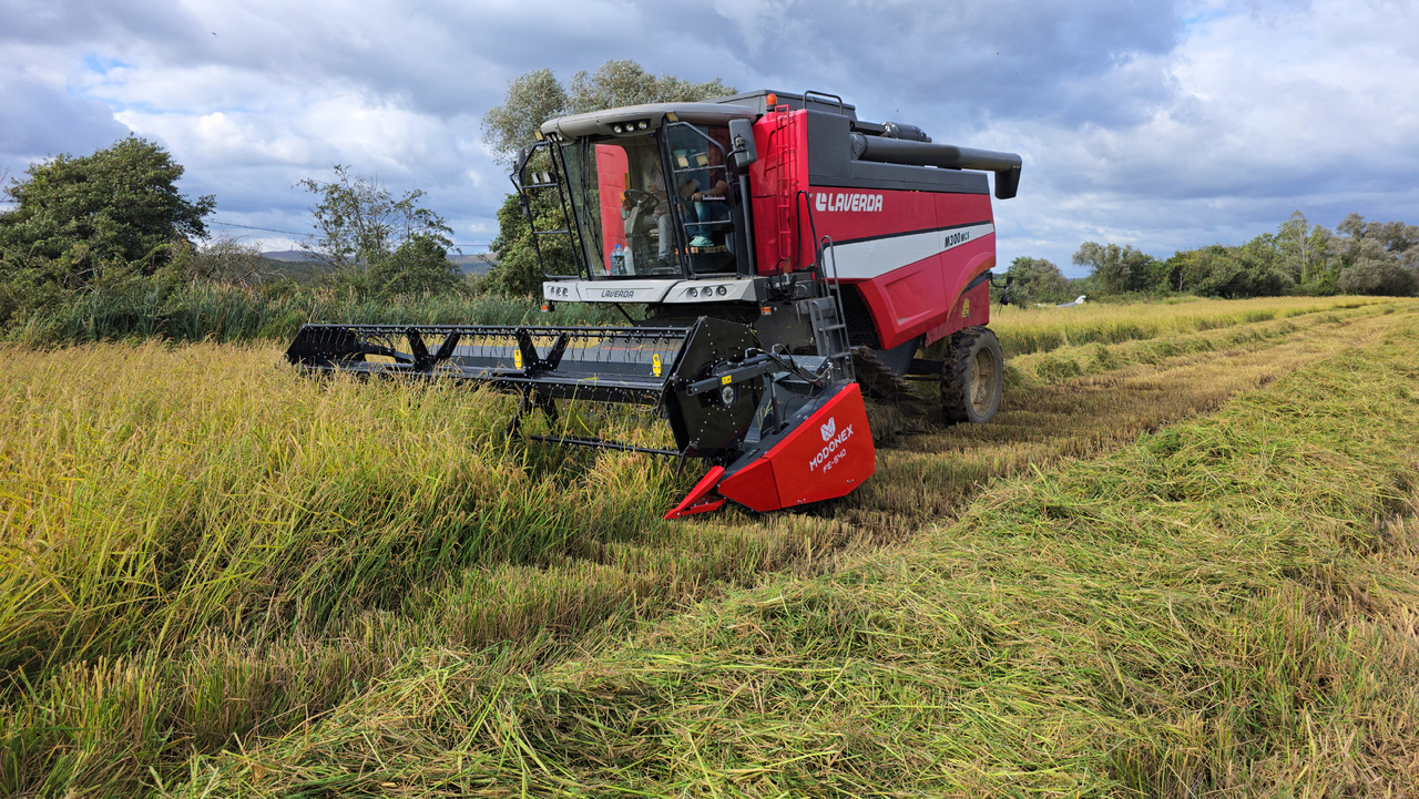 Modonex FE-600 - Graanmaaibord: afbeelding 4 Modonex FE-600 - Graanmaaibord: afbeelding 4