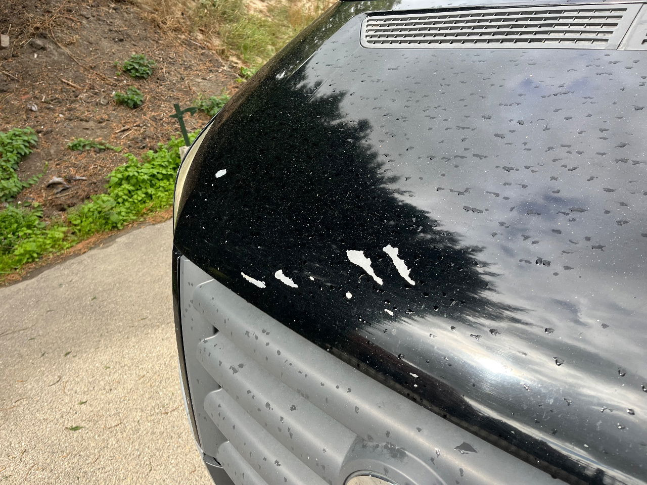 Volkswagen Crafter - Gesloten bestelwagen: afbeelding 5 Volkswagen Crafter - Gesloten bestelwagen: afbeelding 5