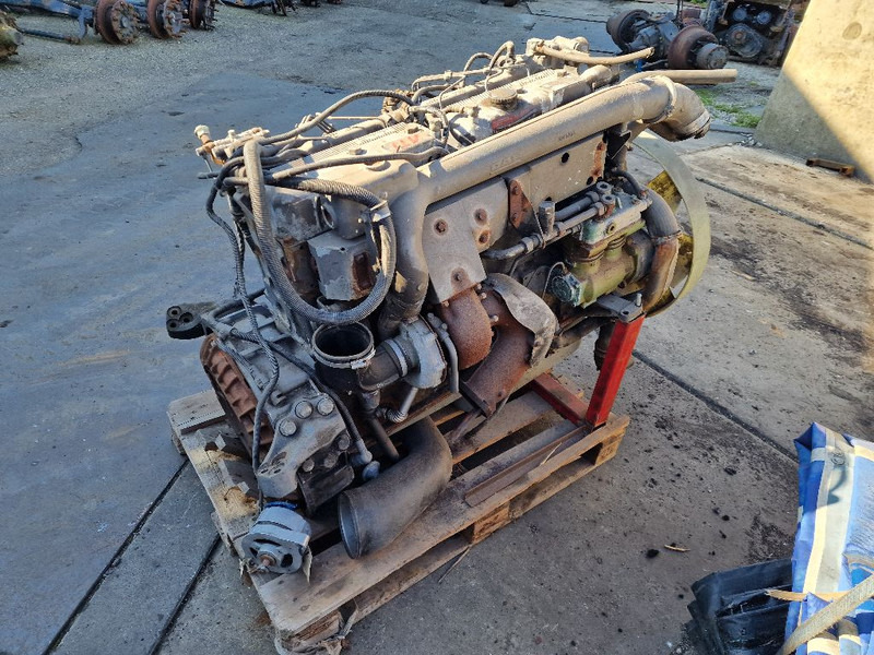 DAF 865 RS200L - Motor: afbeelding 3 DAF 865 RS200L - Motor: afbeelding 3