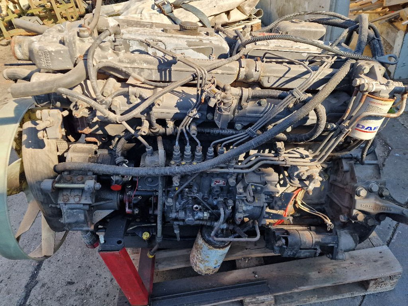DAF 865 RS200L - Motor: afbeelding 5 DAF 865 RS200L - Motor: afbeelding 5