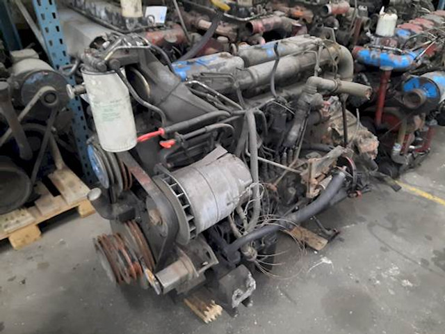 DAF WS242L - Motor voor Bus: afbeelding 1 DAF WS242L - Motor voor Bus: afbeelding 1