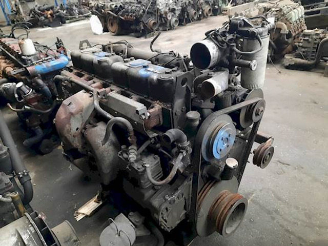 DAF WS242L - Motor voor Bus: afbeelding 3 DAF WS242L - Motor voor Bus: afbeelding 3
