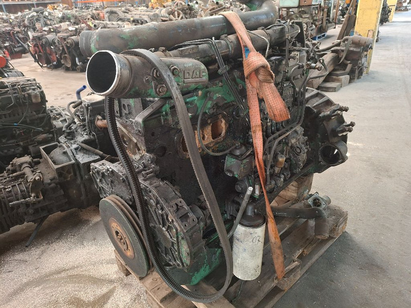 DAF WS268 - Motor: afbeelding 2 DAF WS268 - Motor: afbeelding 2