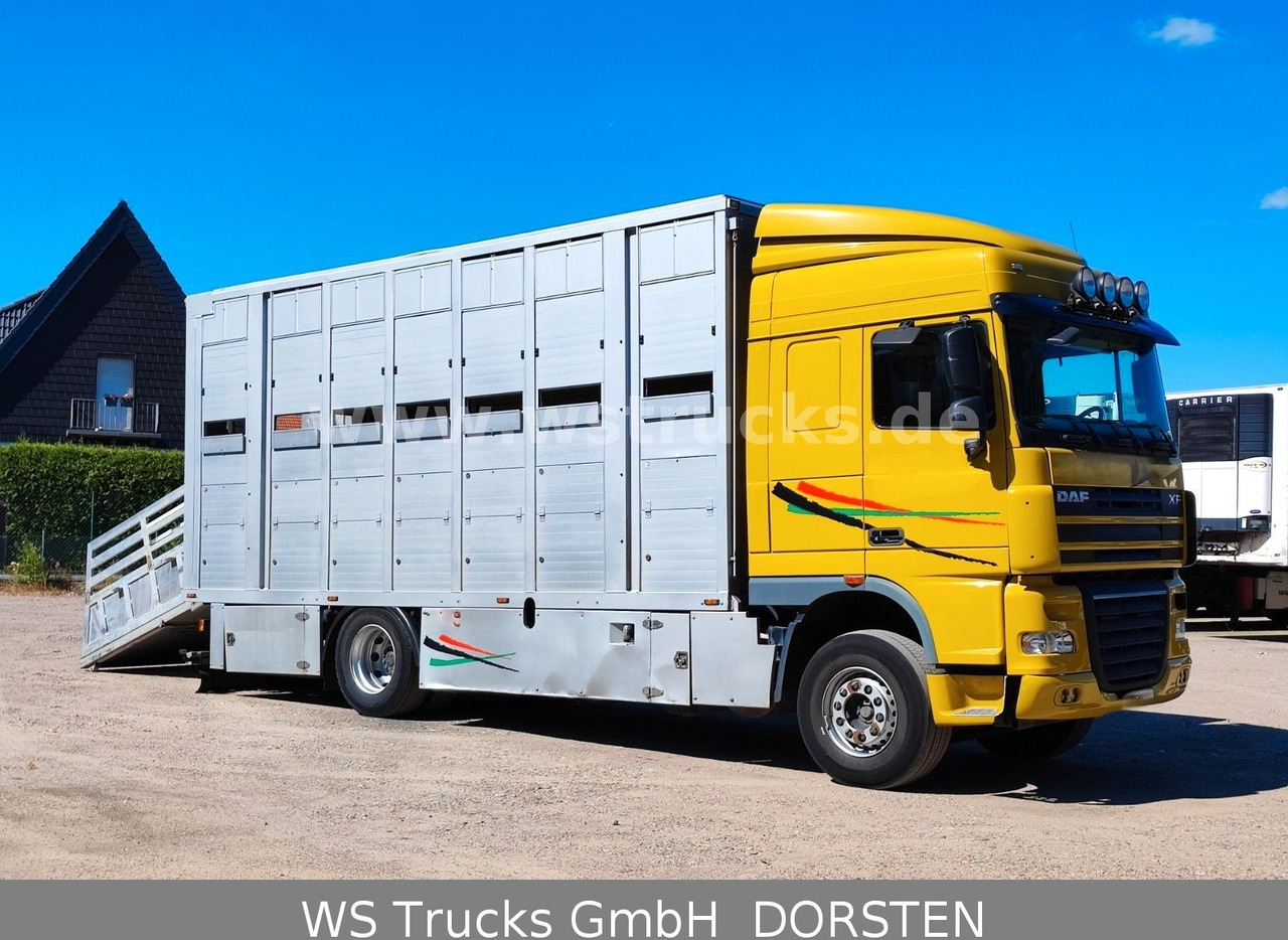 DAF XF 410 SC Menke Doppelstock - Paardenvrachtwagen: afbeelding 5 DAF XF 410 SC Menke Doppelstock - Paardenvrachtwagen: afbeelding 5