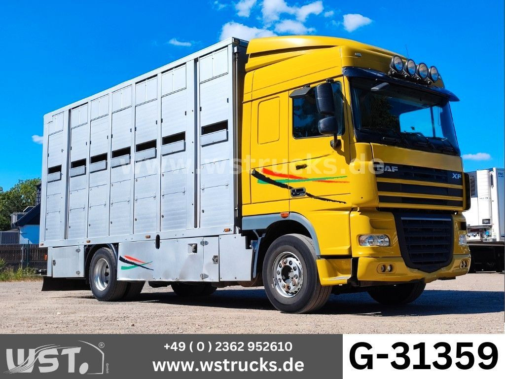 DAF XF 410 SC Menke Doppelstock - Paardenvrachtwagen: afbeelding 1 DAF XF 410 SC Menke Doppelstock - Paardenvrachtwagen: afbeelding 1