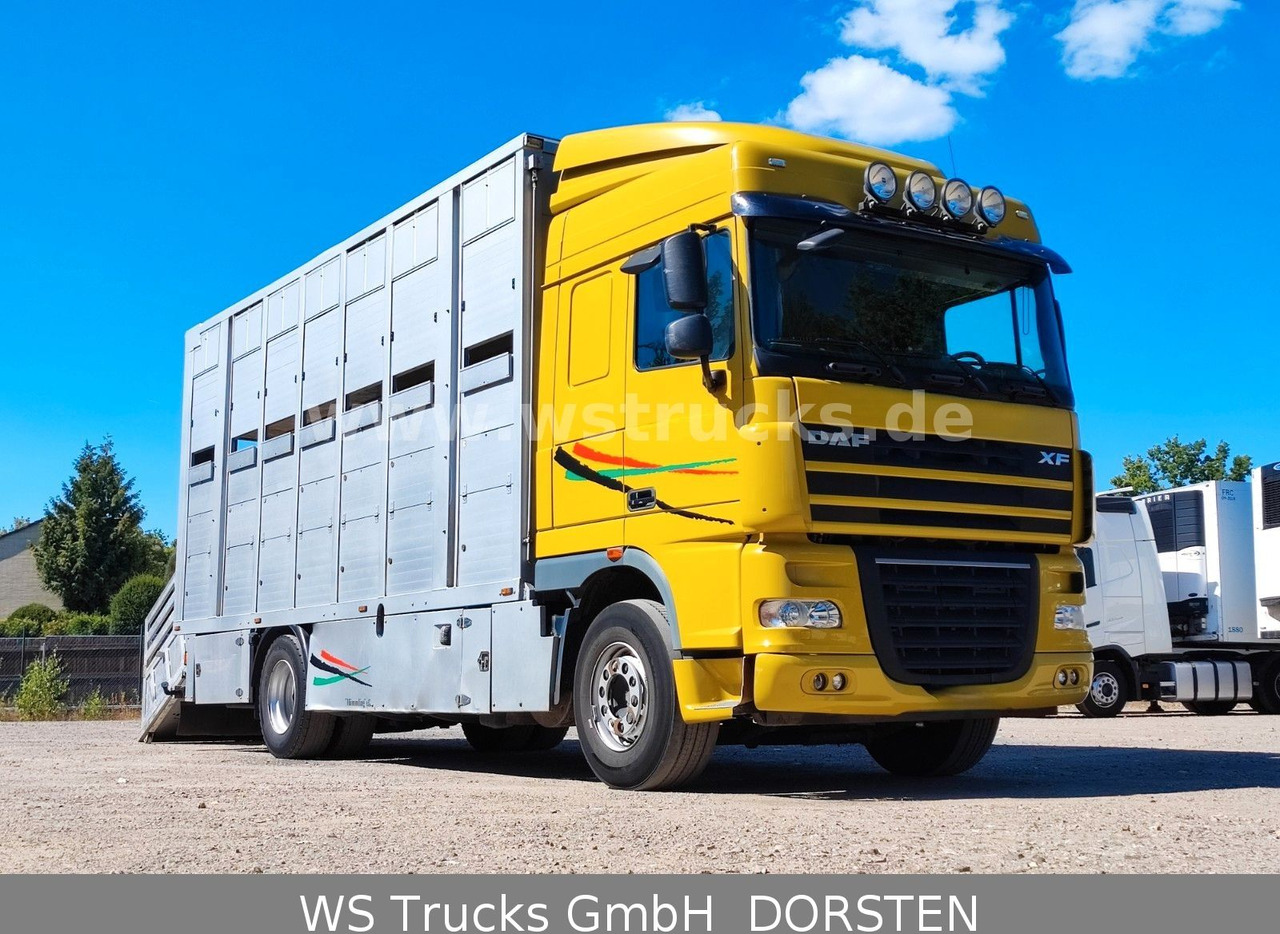 DAF XF 410 SC Menke Doppelstock - Paardenvrachtwagen: afbeelding 3 DAF XF 410 SC Menke Doppelstock - Paardenvrachtwagen: afbeelding 3