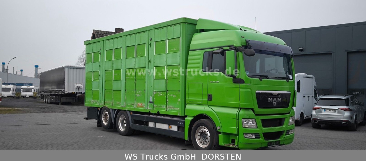 MAN TGX 26.480 XL KABA 3 Stock Viehtransporter - Paardenvrachtwagen: afbeelding 3 MAN TGX 26.480 XL KABA 3 Stock Viehtransporter - Paardenvrachtwagen: afbeelding 3