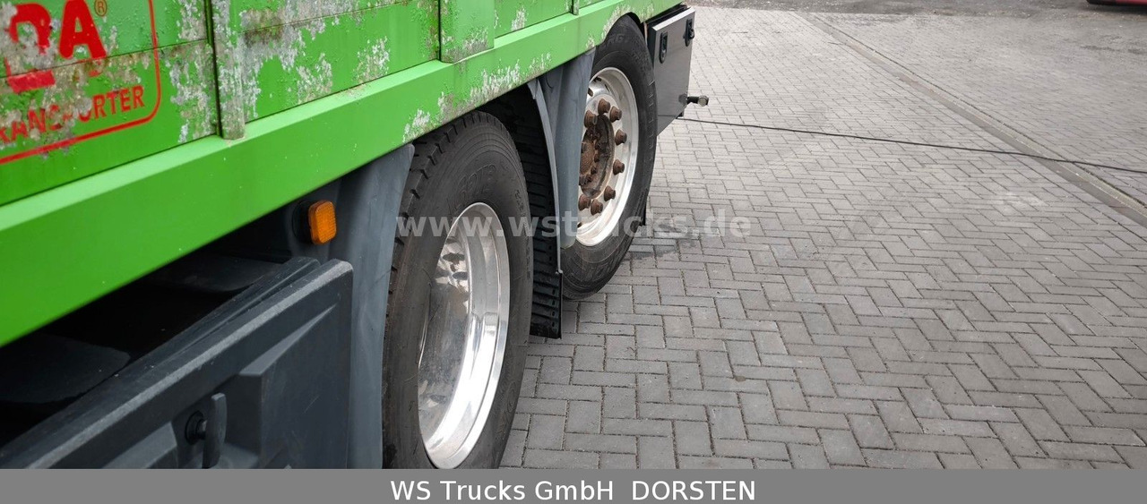 MAN TGX 26.480 XL KABA 3 Stock Viehtransporter - Paardenvrachtwagen: afbeelding 5 MAN TGX 26.480 XL KABA 3 Stock Viehtransporter - Paardenvrachtwagen: afbeelding 5