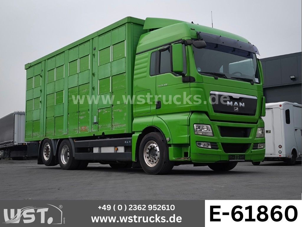 MAN TGX 26.480 XL KABA 3 Stock Vollalu - Paardenvrachtwagen: afbeelding 1 MAN TGX 26.480 XL KABA 3 Stock Vollalu - Paardenvrachtwagen: afbeelding 1