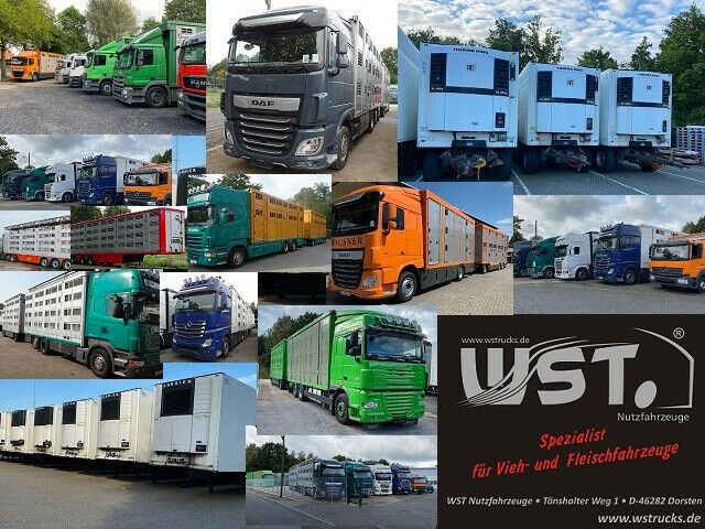 Paardenvrachtwagen Mercedes-Benz 1224 EURO. 3: afbeelding 17 Paardenvrachtwagen Mercedes-Benz 1224 EURO. 3: afbeelding 17