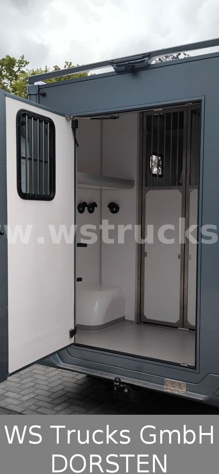Paardenvrachtwagen Renault Master 3 Sitze VollLeder Hengstausstattung: afbeelding 6