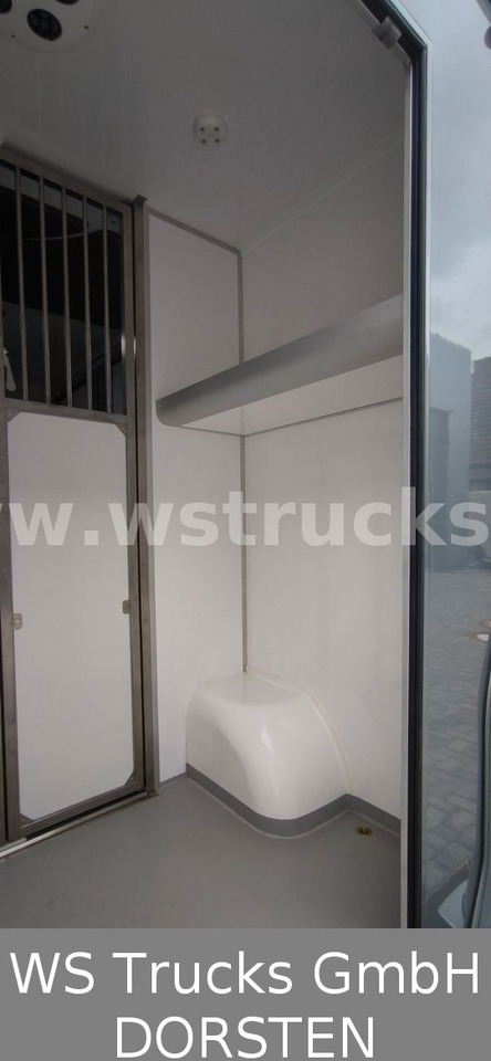 Paardenvrachtwagen Renault Master 3 Sitze VollLeder Hengstausstattung: afbeelding 8
