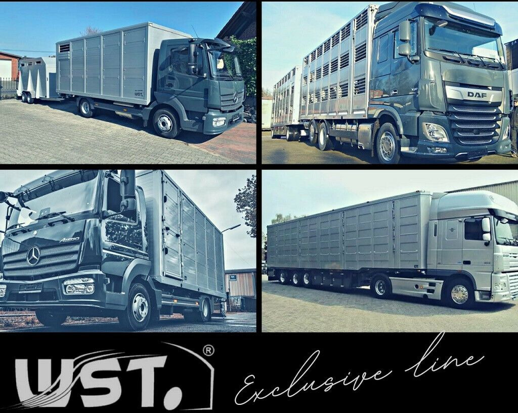 Koelwagen oplegger Schmitz Cargobull SKO 24 Kühlauflieger Vector 1550 Strom/Diesel: afbeelding 17