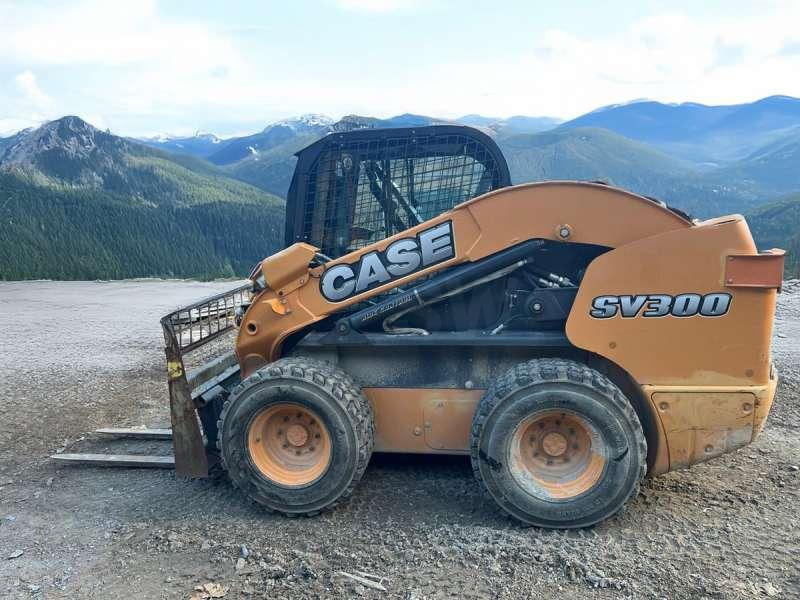 Case SV300 - Schranklader: afbeelding 2 Case SV300 - Schranklader: afbeelding 2