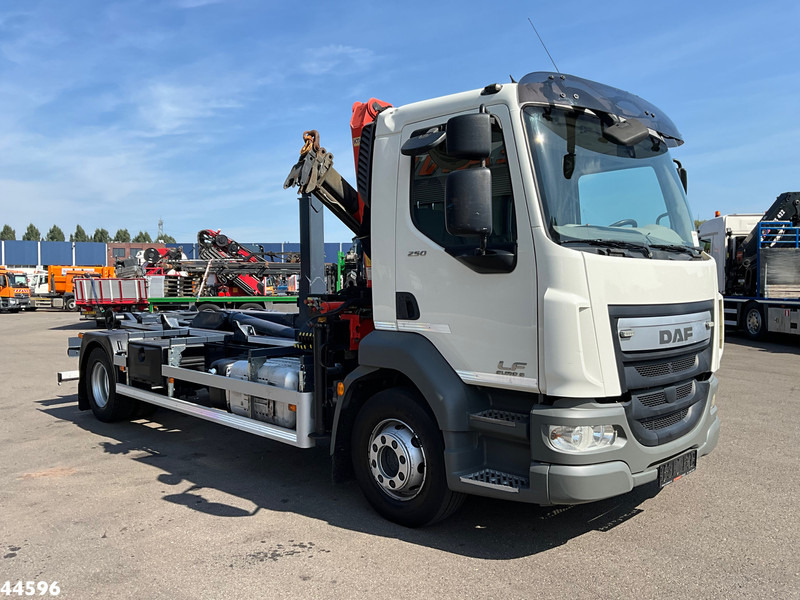 DAF FA LF 250 Euro 6 Palfinger 6,5 Tonmeter laadkraan - Haakarmsysteem vrachtwagen, Kraanwagen: afbeelding 3 DAF FA LF 250 Euro 6 Palfinger 6,5 Tonmeter laadkraan - Haakarmsysteem vrachtwagen, Kraanwagen: afbeelding 3