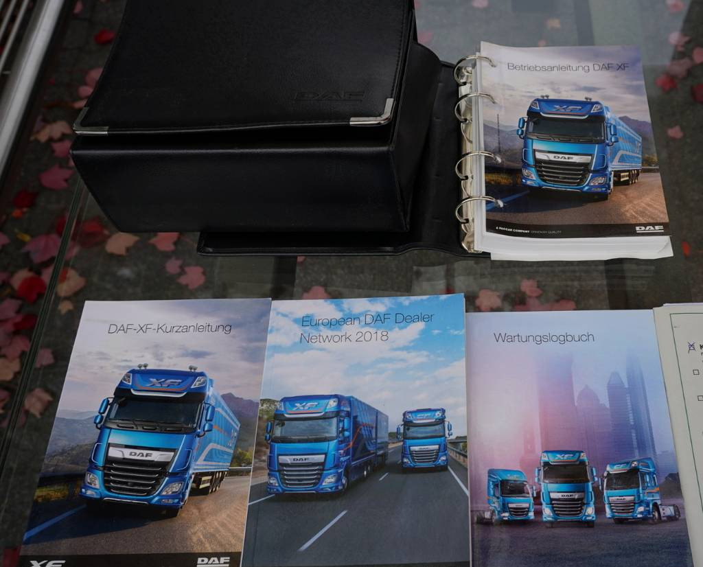 Koelwagen vrachtwagen DAF XF 450 6×2 E6 / Refrigerator Lacapitaine / ATP/FRC to 2027 / 18 pallets: afbeelding 24