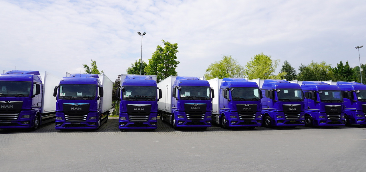 MAN New TGX 26.400 / NEW IGLOOCAR refrigerator 20 pallets / 6×2 / 2024 / 2 units - Bakwagen: afbeelding 3 MAN New TGX 26.400 / NEW IGLOOCAR refrigerator 20 pallets / 6×2 / 2024 / 2 units - Bakwagen: afbeelding 3