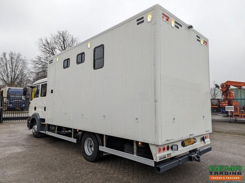 MAN TGL 12.180 4x2 DoKa 7 pers. Euro5 EEV - Paardenwagen 2-Paards - 147.000km! - MARGE - Paardenvrachtwagen: afbeelding 4 MAN TGL 12.180 4x2 DoKa 7 pers. Euro5 EEV - Paardenwagen 2-Paards - 147.000km! - MARGE - Paardenvrachtwagen: afbeelding 4