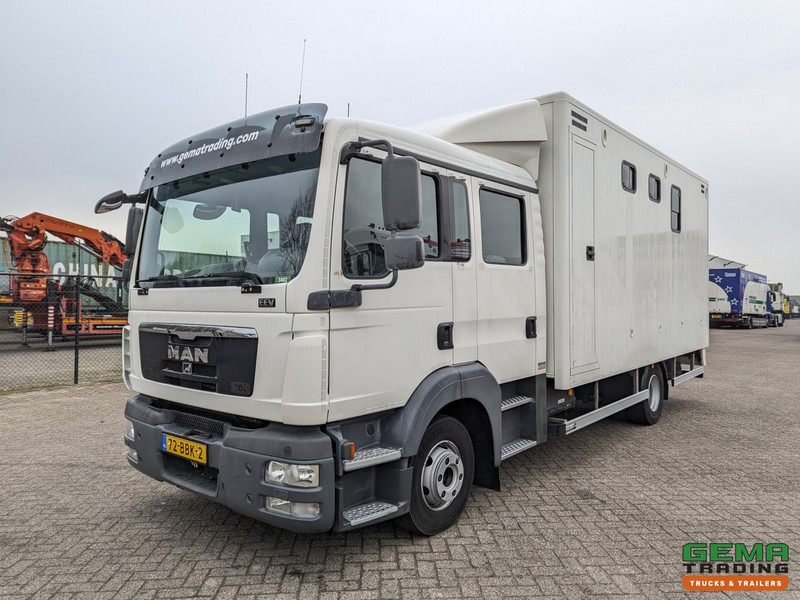 MAN TGL 12.180 4x2 DoKa 7 pers. Euro5 EEV - Paardenwagen 2-Paards - 147.000km! - MARGE - Paardenvrachtwagen: afbeelding 3 MAN TGL 12.180 4x2 DoKa 7 pers. Euro5 EEV - Paardenwagen 2-Paards - 147.000km! - MARGE - Paardenvrachtwagen: afbeelding 3