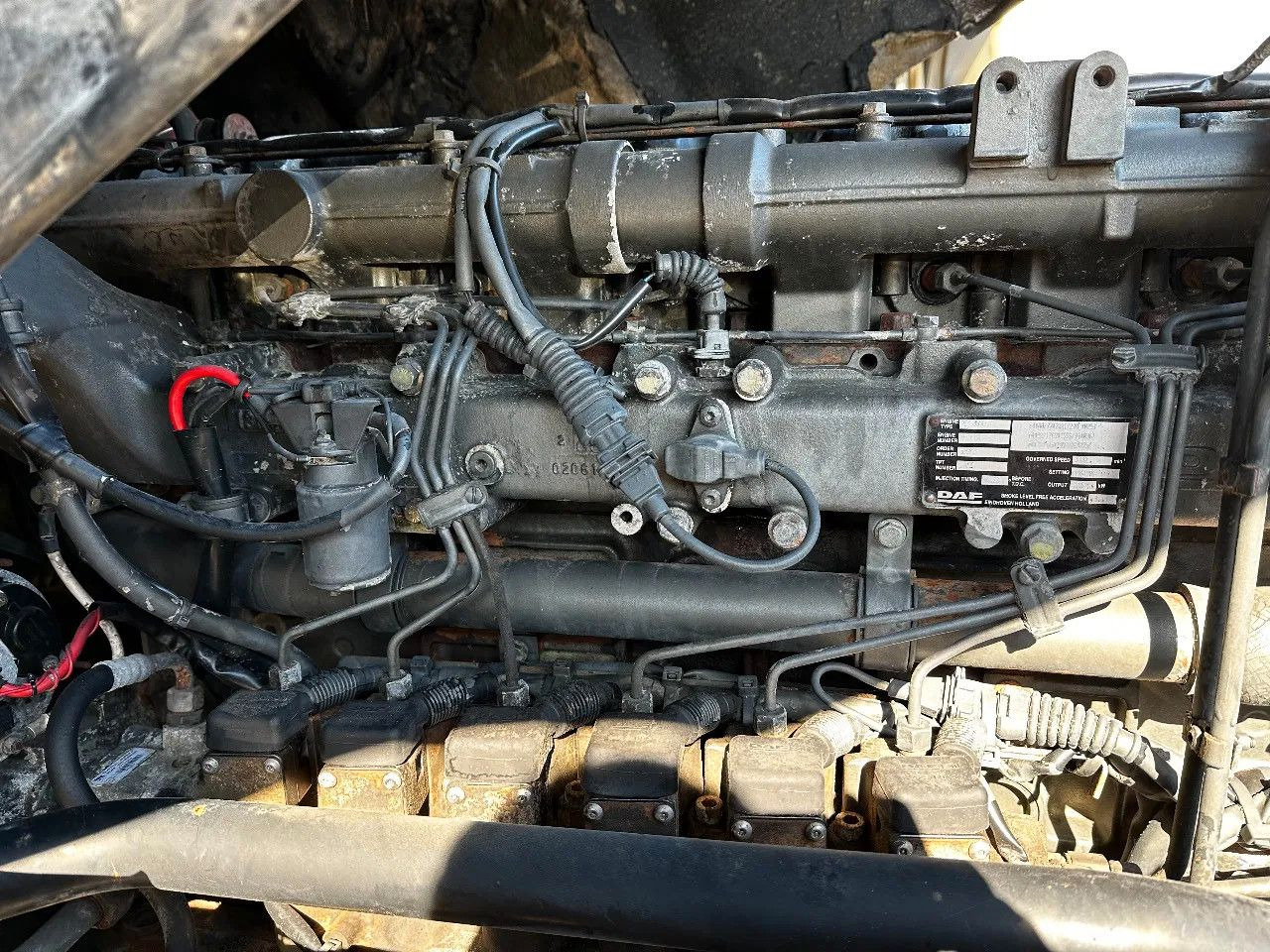 Nieuw Trekker DAF XF 95.480 4X2 Tractor-unit Spring/Air ZF Manual: afbeelding 18