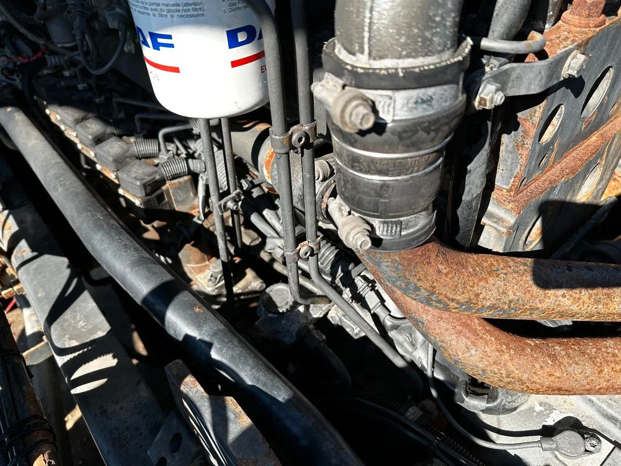 Nieuw Trekker DAF XF 95.480 4X2 Tractor-unit Spring/Air ZF Manual: afbeelding 22