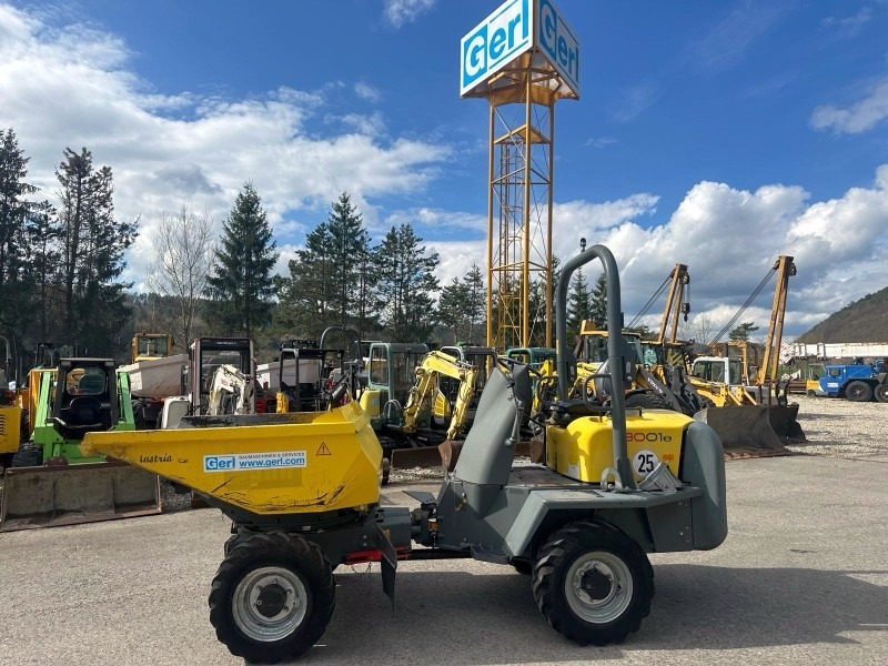 Neuson 3001 (3861) - Minidumper: afbeelding 1 Neuson 3001 (3861) - Minidumper: afbeelding 1