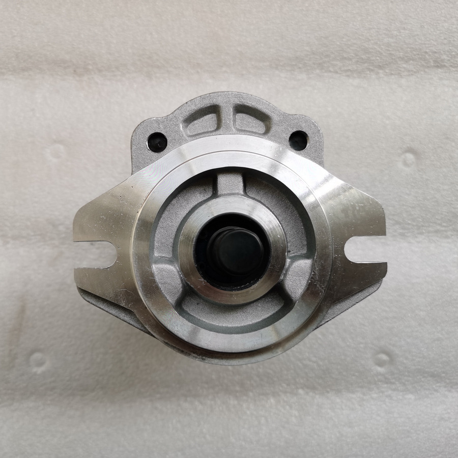 QINGDAO PROMISING Hydraulic Pump CBWA-F318-AT4Φ9 - Hydraulische pomp voor Wiellader: afbeelding 3 QINGDAO PROMISING Hydraulic Pump CBWA-F318-AT4Φ9 - Hydraulische pomp voor Wiellader: afbeelding 3