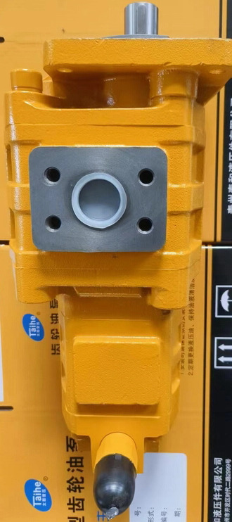 Qingdao Promising Hydraulic Double Gear Pumps Fit China Loader - Hydraulische pomp voor Wiellader: afbeelding 5 Qingdao Promising Hydraulic Double Gear Pumps Fit China Loader - Hydraulische pomp voor Wiellader: afbeelding 5