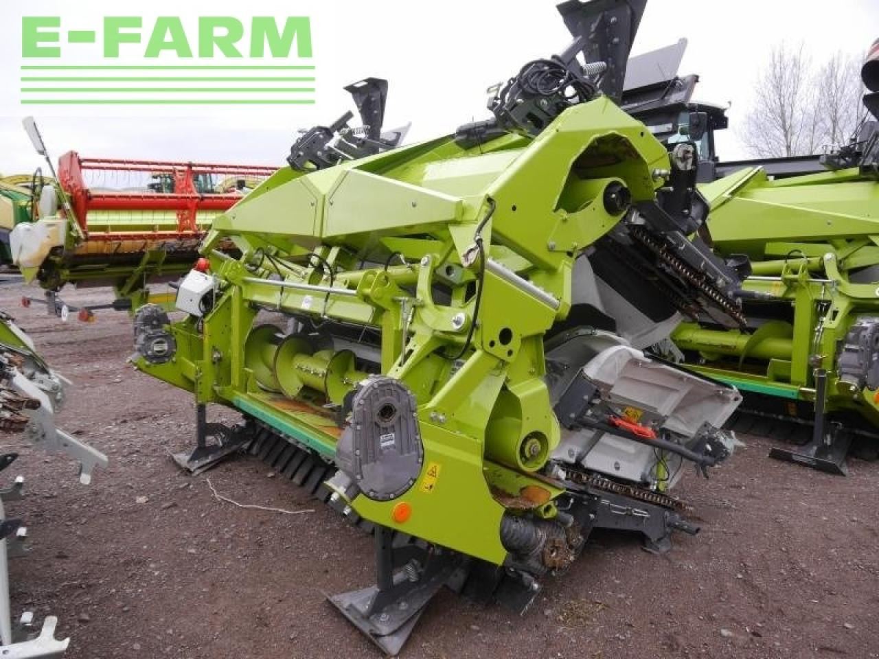 CLAAS corio 875 fc conspeed - Maiskolvenplukker: afbeelding 3 CLAAS corio 875 fc conspeed - Maiskolvenplukker: afbeelding 3
