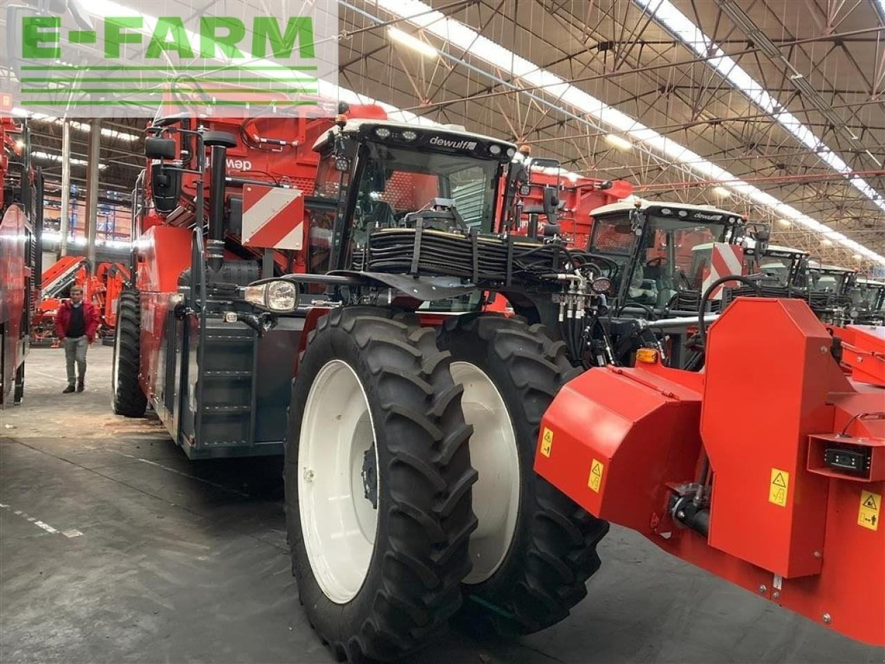 Dewulf rqa3060 - topkæde - Aardappelrooier: afbeelding 1 Dewulf rqa3060 - topkæde - Aardappelrooier: afbeelding 1