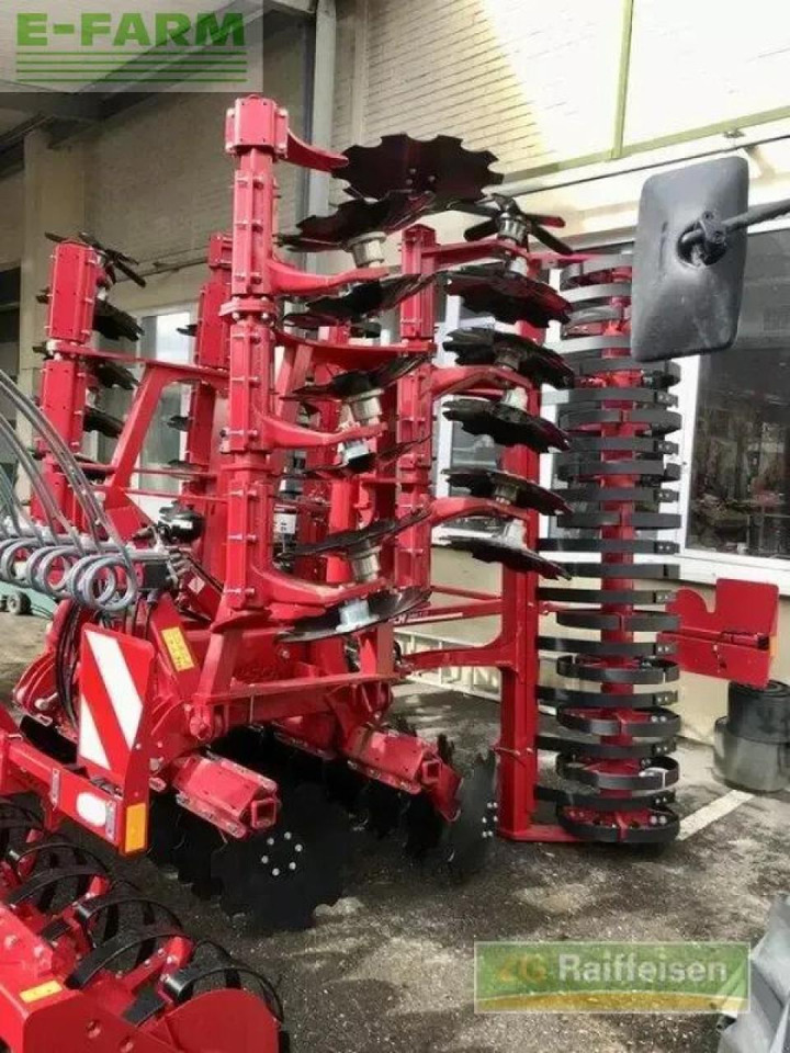 Horsch joker 5 ct - Schijveneg: afbeelding 3 Horsch joker 5 ct - Schijveneg: afbeelding 3