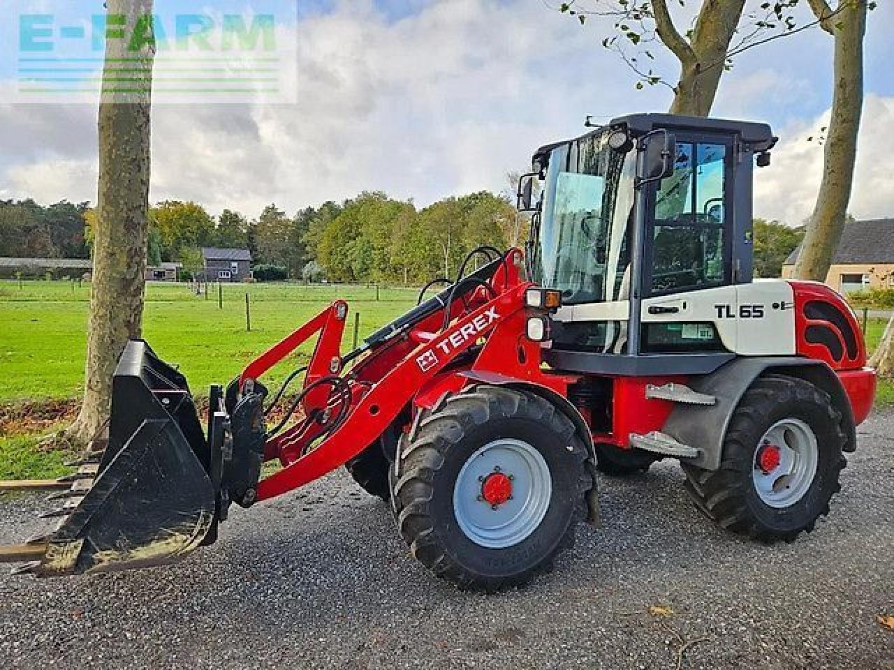 Terex tl 65 wiellader minishovel radlader shovel - Minigraafmachine: afbeelding 1 Terex tl 65 wiellader minishovel radlader shovel - Minigraafmachine: afbeelding 1