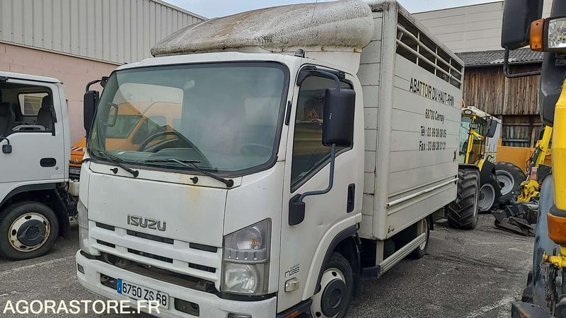 Bétaillère abattoir ISUZU - 2008 - Veewagen vrachtwagen: afbeelding 1 Bétaillère abattoir ISUZU - 2008 - Veewagen vrachtwagen: afbeelding 1