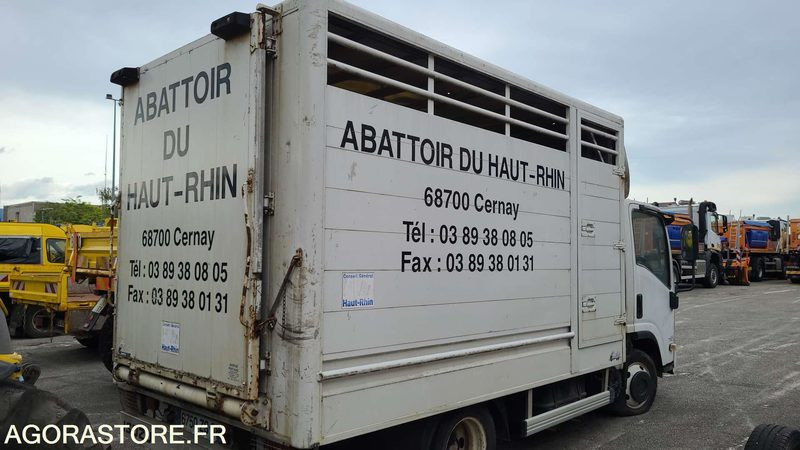 Bétaillère abattoir ISUZU - 2008 - Veewagen vrachtwagen: afbeelding 3 Bétaillère abattoir ISUZU - 2008 - Veewagen vrachtwagen: afbeelding 3