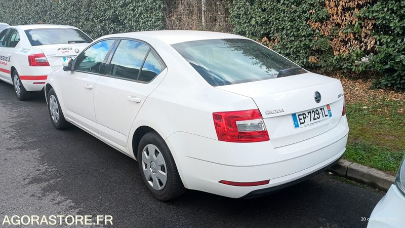 EP-729-TL - Non Roulant - SKODA OCTAVIA - VP -  349 390 Kms - Personenwagen: afbeelding 3 EP-729-TL - Non Roulant - SKODA OCTAVIA - VP -  349 390 Kms - Personenwagen: afbeelding 3