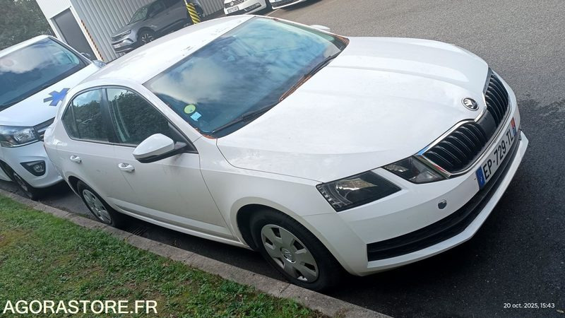 EP-729-TL - Non Roulant - SKODA OCTAVIA - VP -  349 390 Kms - Personenwagen: afbeelding 2 EP-729-TL - Non Roulant - SKODA OCTAVIA - VP -  349 390 Kms - Personenwagen: afbeelding 2